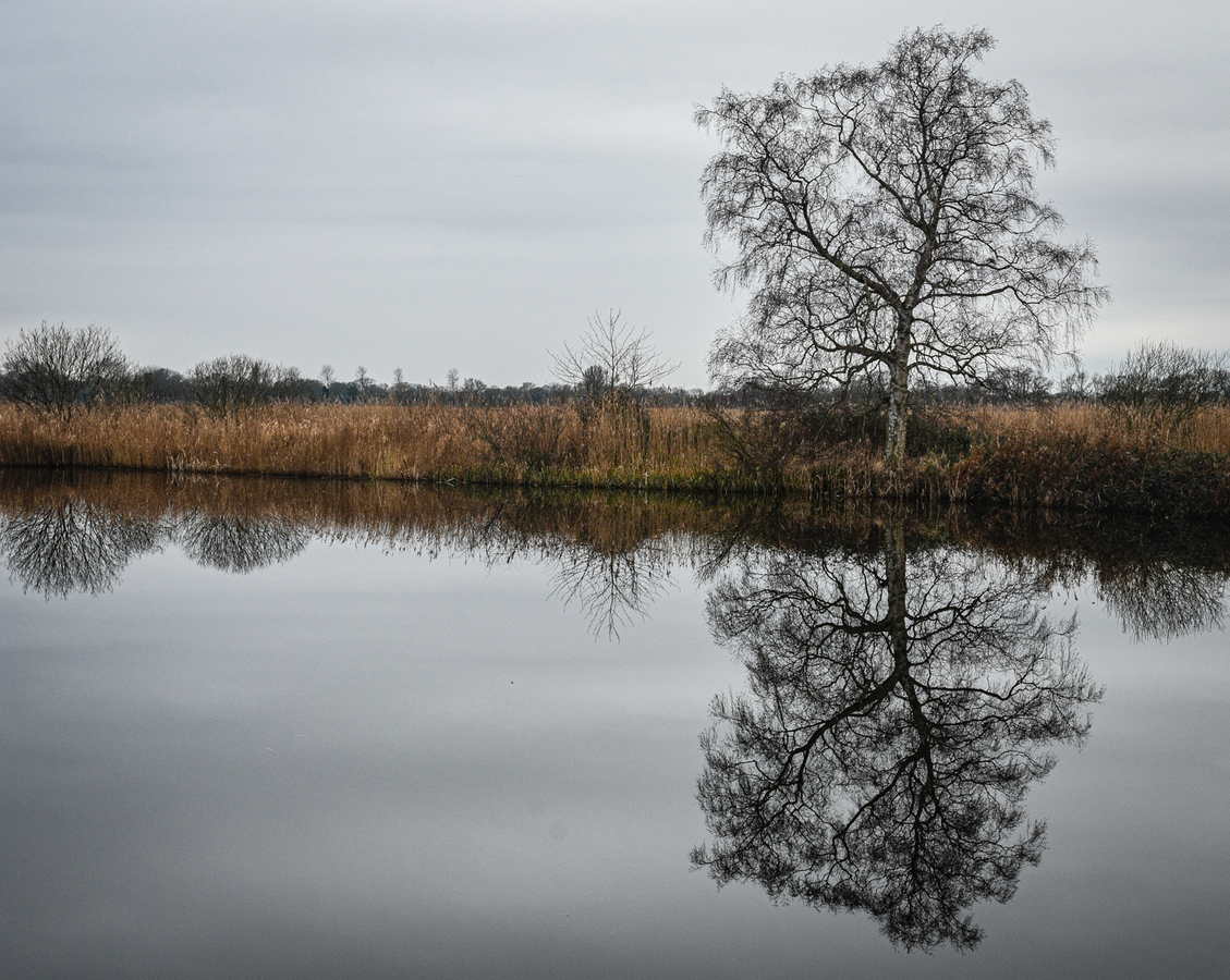 Broadland Stillness - Martyn Scurrell